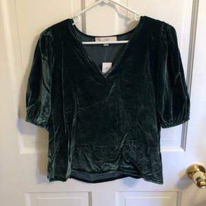 Velvet LOFT blouse